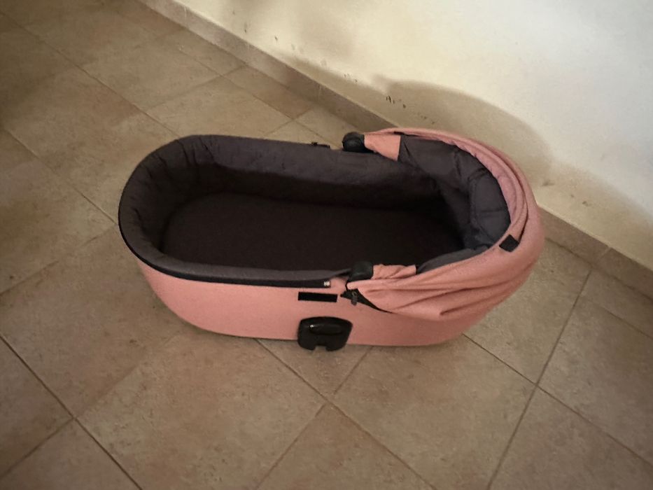 Alcofa rosa Anex nova