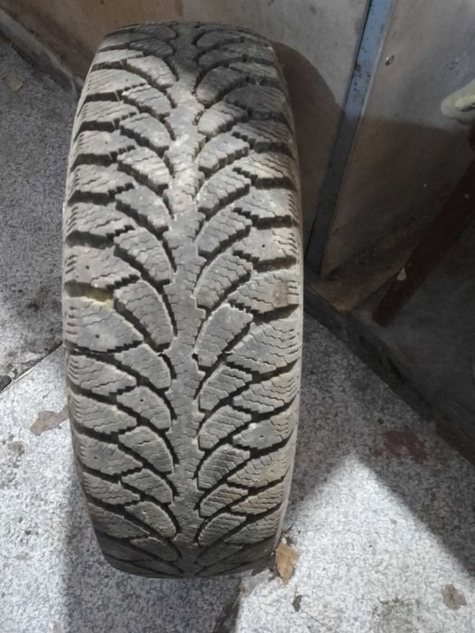 розина р 13 тунга нордвей  зимова