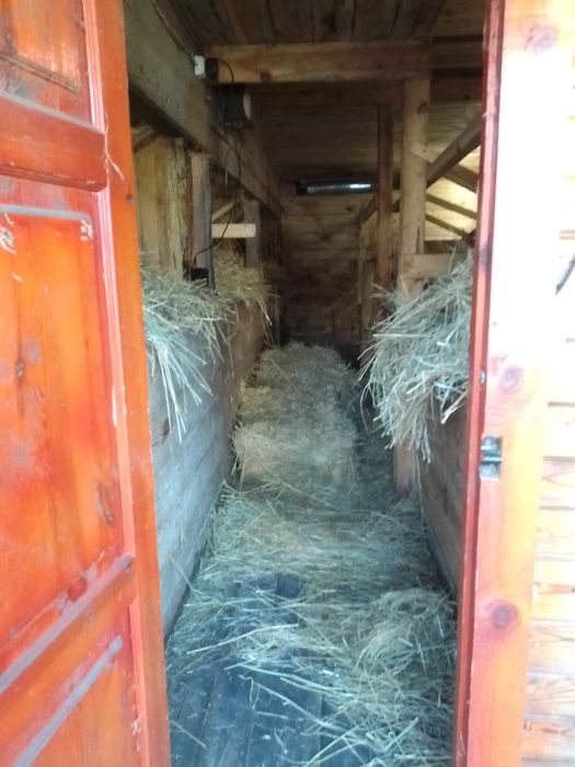 Молоко, творог, сливки, масло, згущенка з доставкою!