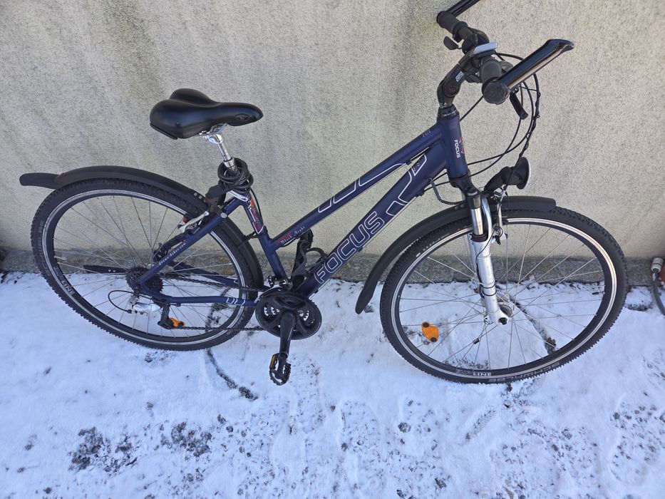 Rower damski Focus Okazja