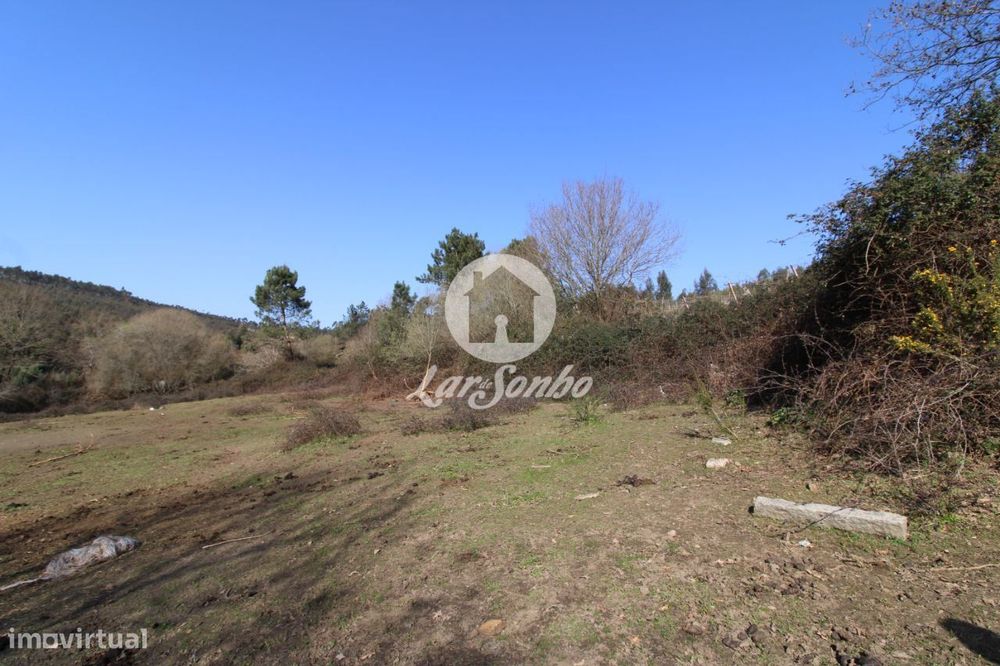 Agricultural Plot of 6,000 m² in Ribeirão – Vila Nova de Famalicão