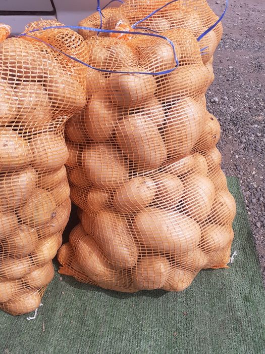 BATATA AGRIA 20KG 9€