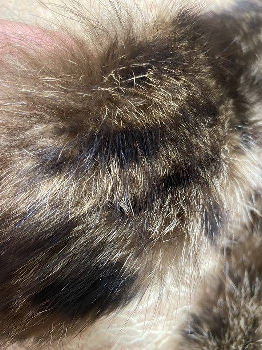 Мех натуральный воротник 90 см