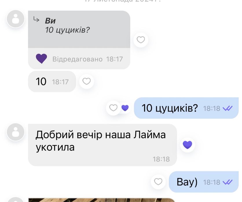 Американська Акіта вʼязка