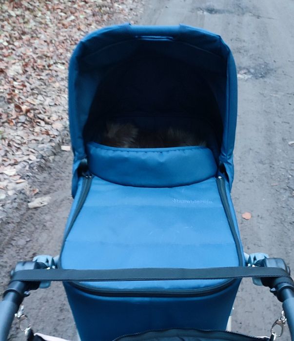 Gondola Bumbleride 2022 Indie Era Speed