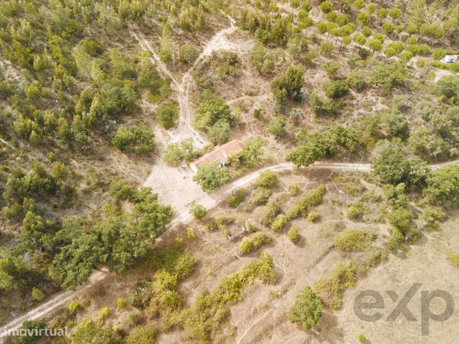 Quinta Florestal de 12,5 Hectares com Casa de Lavrador Centenária em B