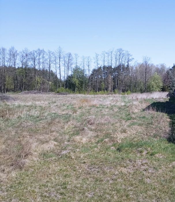 Działka budowlana Stary Gózd