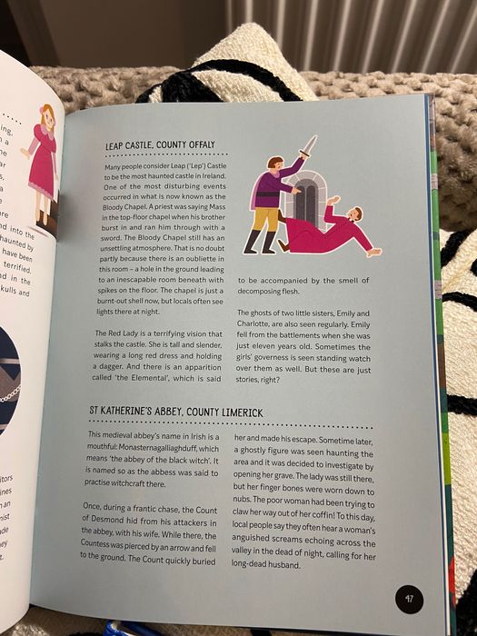 Zestaw do nauki angielskiego dla dzieci. Where’s Wally, słownik, ANG