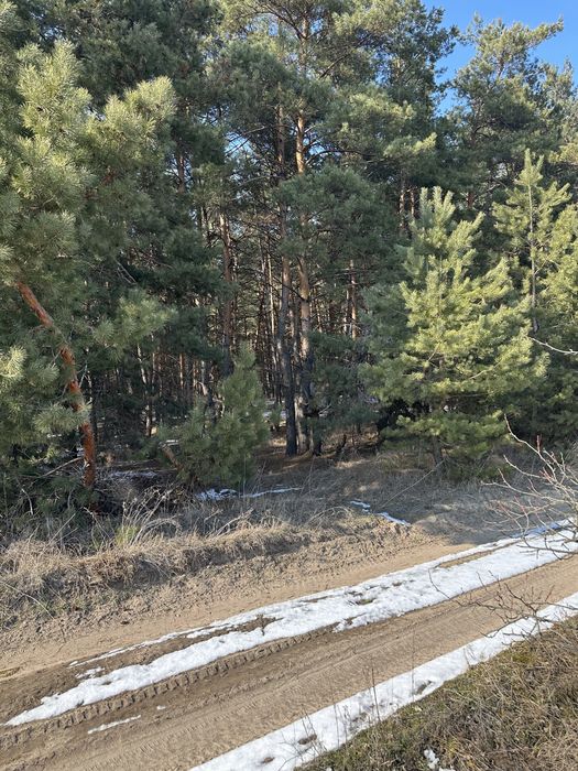 Продам земельный участок с адресом с/о Лесная поляна