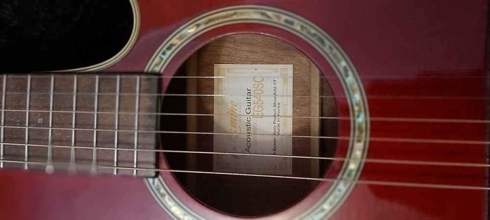 Viola acústica Takamine