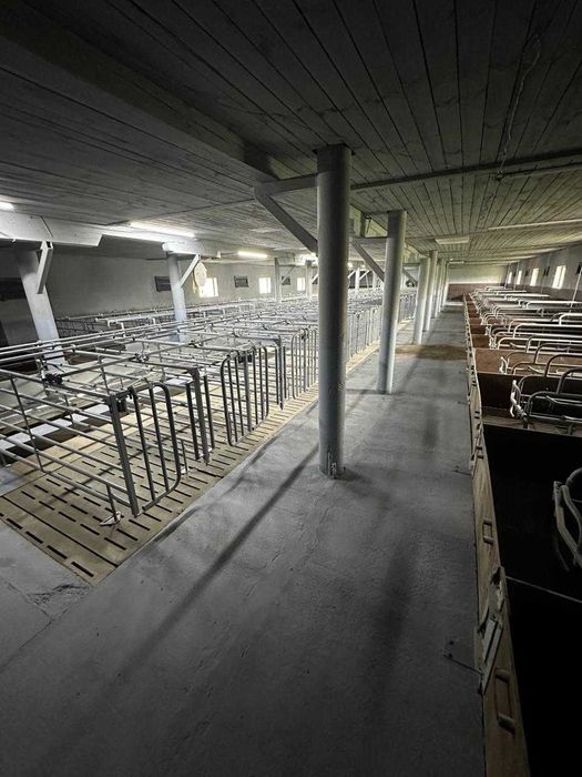 Ферма, господарські будівлі та споруди