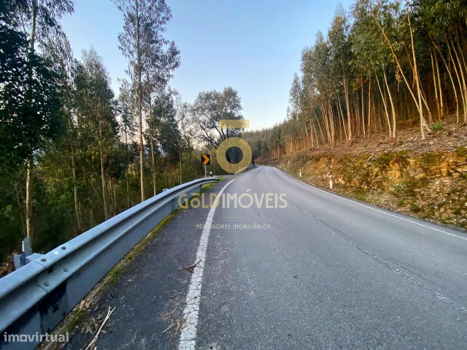 Terreno Florestal