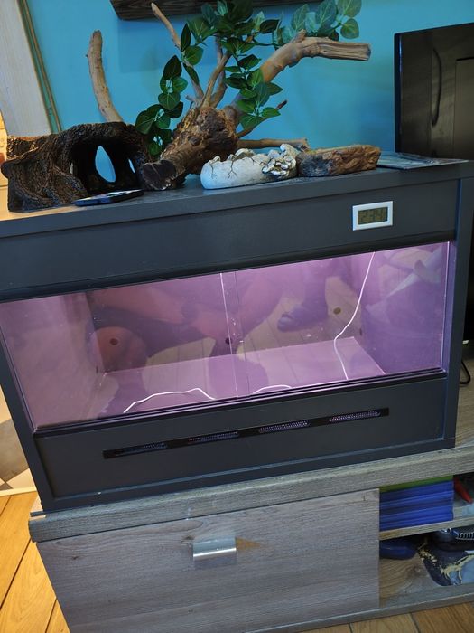 Terrarium z całym wyposażeniem