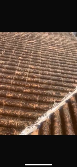 Limpeza Telhados/terrenos