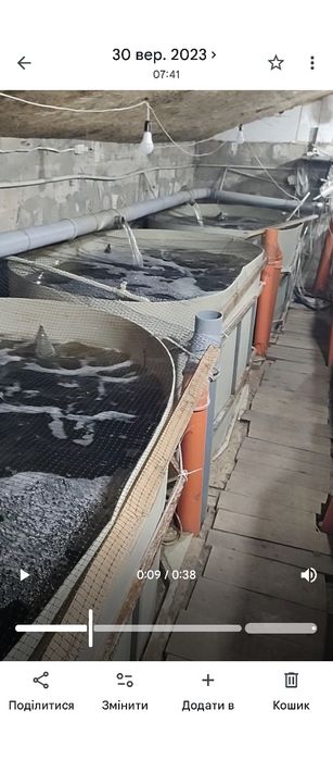 Узв для вирощування риби , креветок