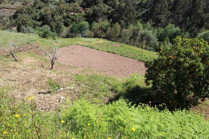 Quinta,3ruinas,Agua,hortas,Paz e privacidade