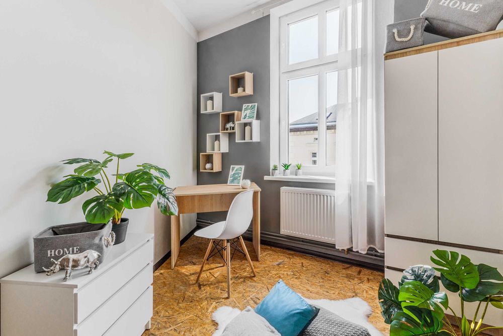 Apartment in Poznań, Grunwald, Łazarz - Widok 2