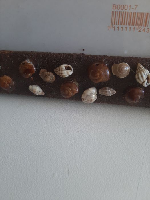 New Handcrafted Seashell Frame425562447451279362