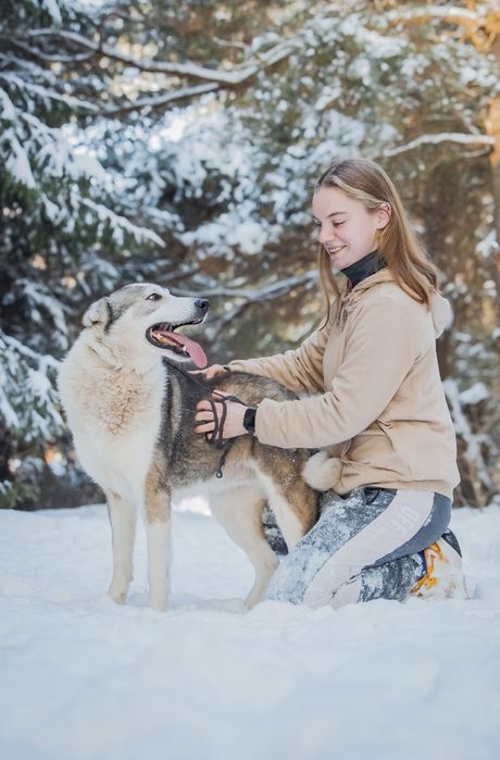 Aki - pies dla aktywnych