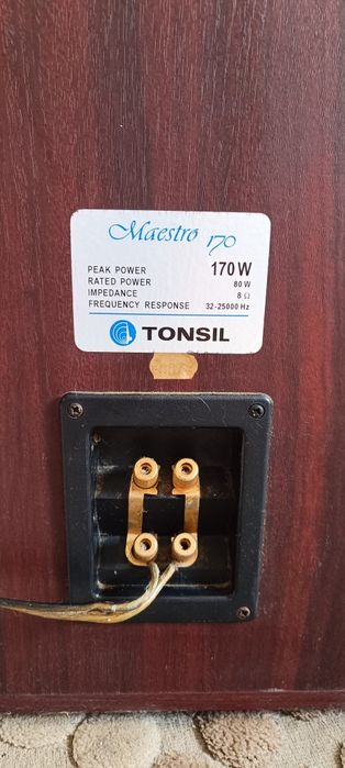Tonsil Maestro 170