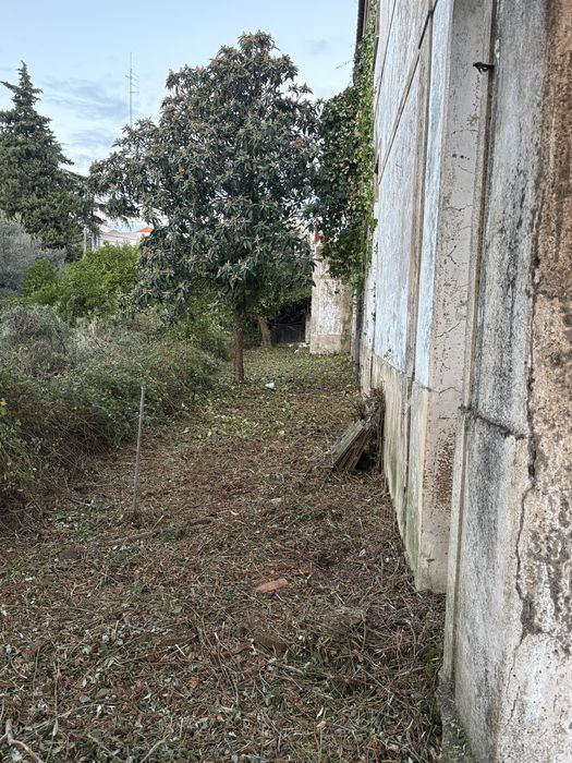 Limpeza / manutencões de terrenos