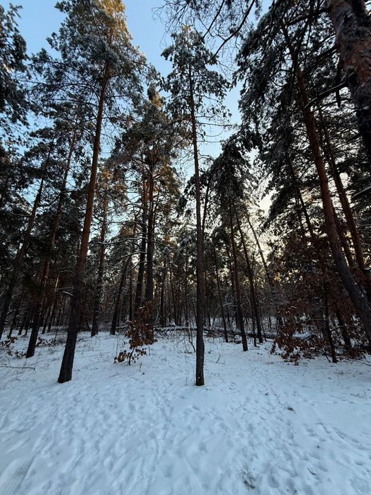 Земельна ділянка під будівництво.