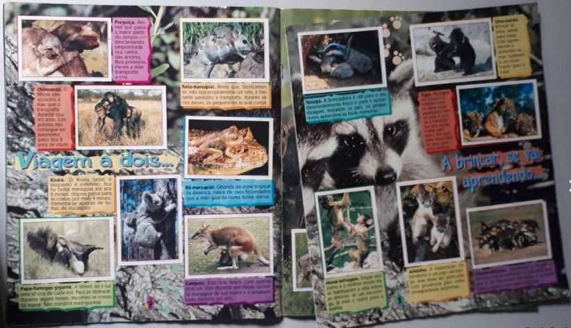 Caderneta de Cromos Animais Bebés [Completa]