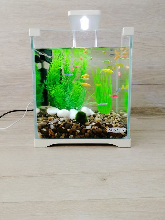 Акваріумний комплект з рибками 10л | Все включено | Доставка по Києву