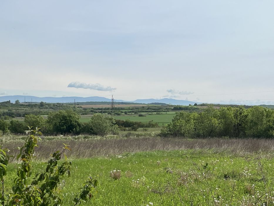 Продам будинок 112 м2 приват ділянка 24 сот Берегівський р-н село Великі Береги