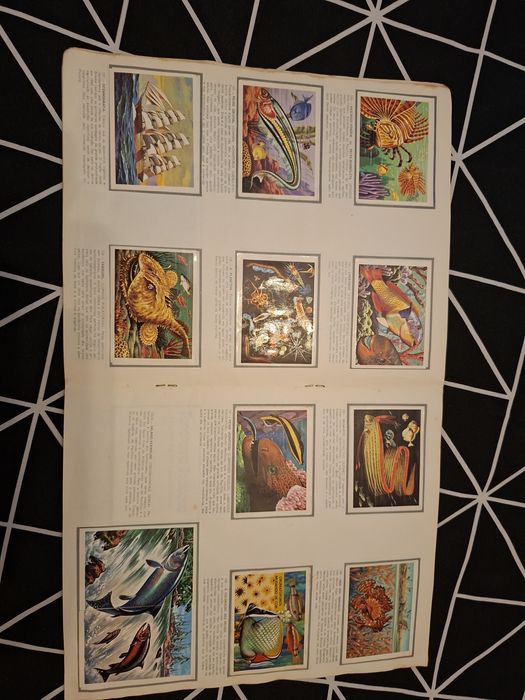 Caderneta cromos viking