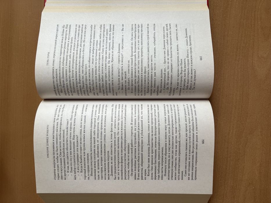 Тень Горы. Грегори Дэвид Робертс.