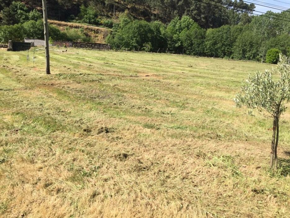 Limpeza e manutenção de terrenos