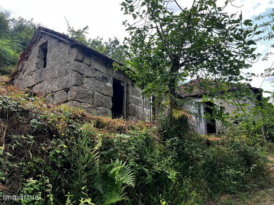 Quinta em Amarante (Gondar) com casa para Restauro