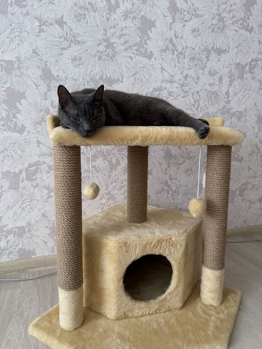 Домики лежанка когтеточка для кота кошк