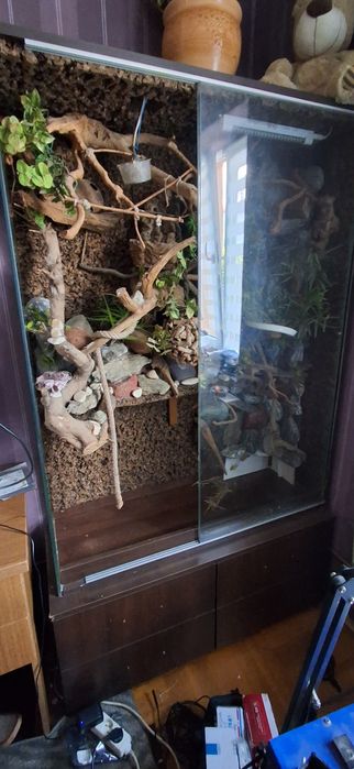 Terrarium duże dla zwierząt