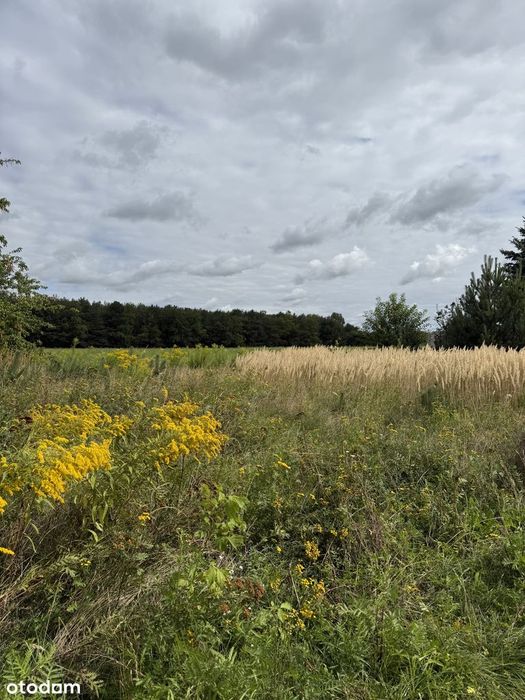 Działka budowlana 1281 m² z pozwoleniem na budowę w spokojnej okolicy