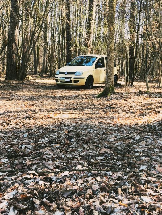 Fiat panda 1.2 b