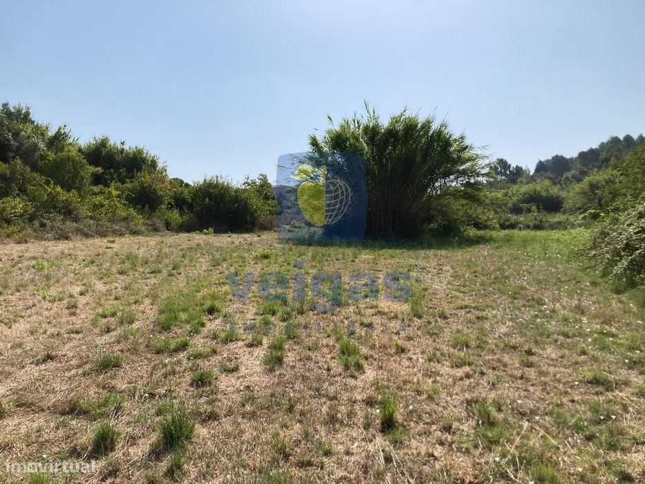 Casa Típica Portuguesa com Terreno de 6346m2