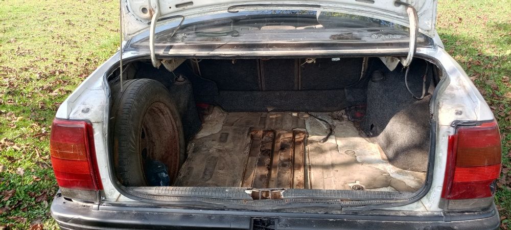 Опель Омега інжектор