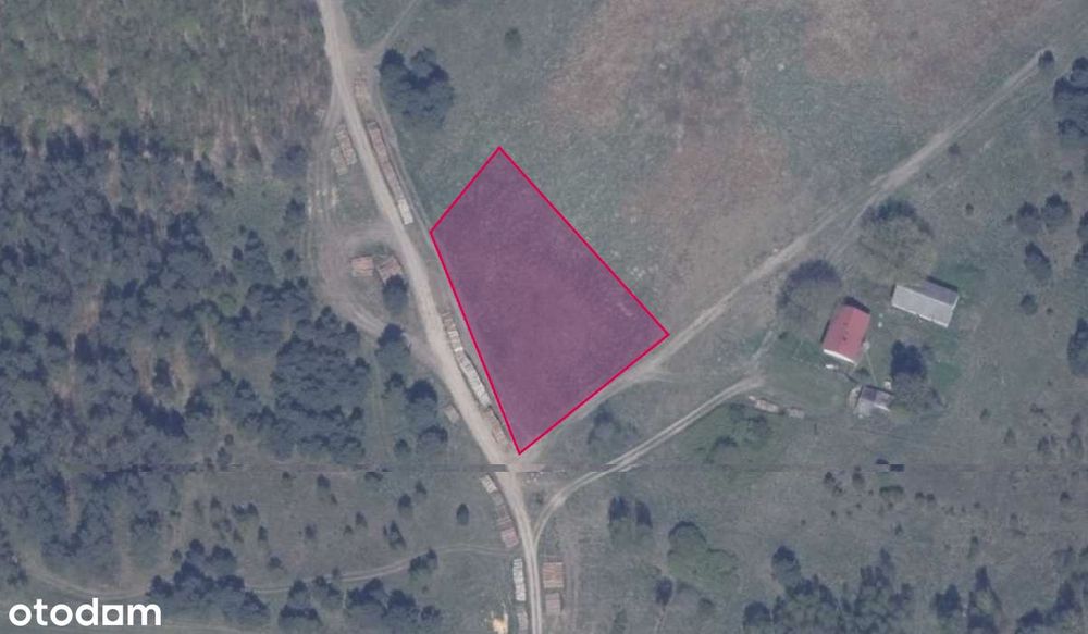 Działka 77/1 w miejscowości Błotnia