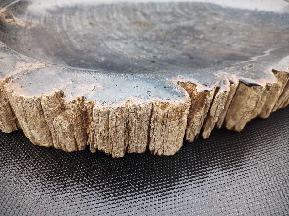Dekoracja ze skamieniałego drewna Plaster patera39cm oryginał Indonezj