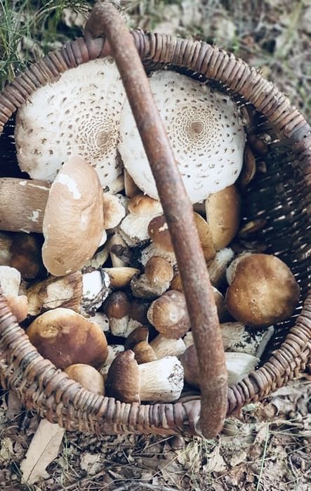 Kosze wiklinowe koszyki rękodzieło 35x40cm