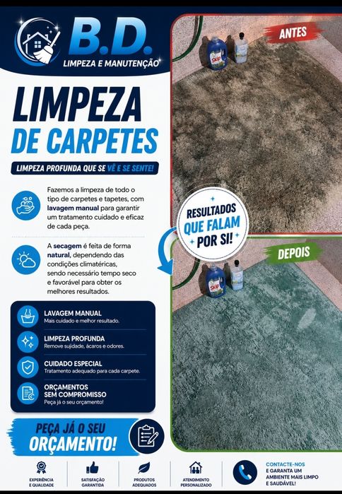 Serviços passar a ferro , lavagem de carpetes e muito mais.