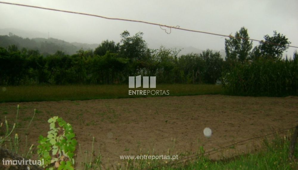 Land for Sale, Cinfães