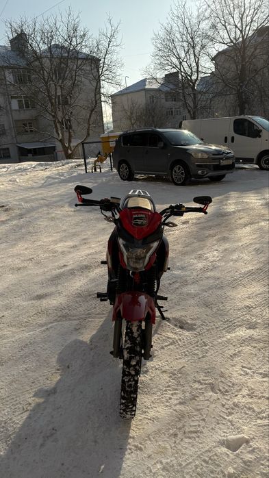 Mustang Fortuna 200-2022p