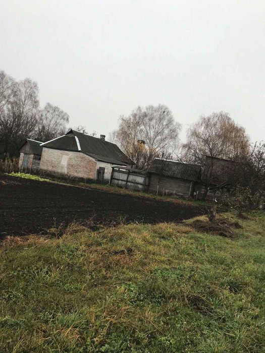 Продам дачу з великою ділянкою в селі Гірманка, Чернігівський район