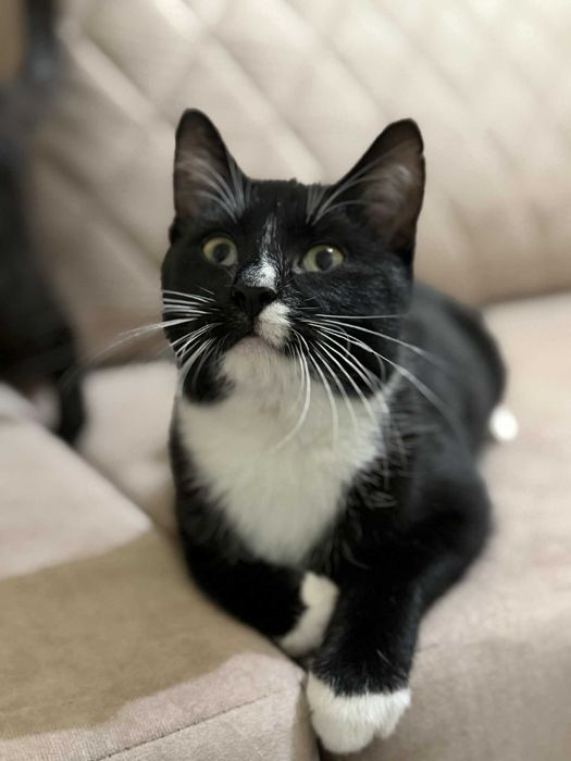 Walduś i Mariola szukają domu