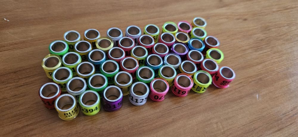 50 anilhas mistas para pombos Ano 2025