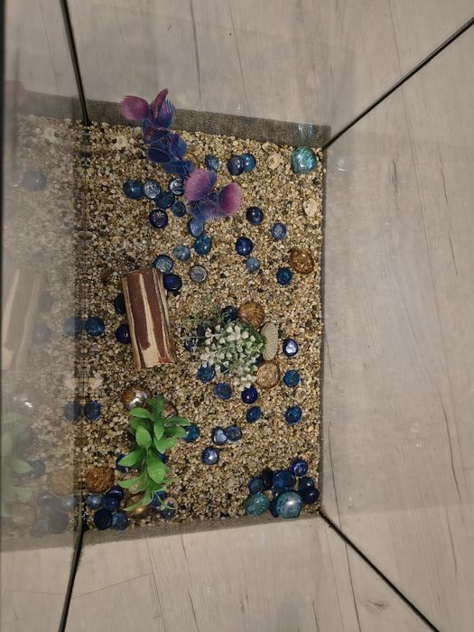 Akwarium dla ryb 30l