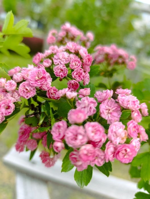 Мама с детьми нуждаеться в помощи